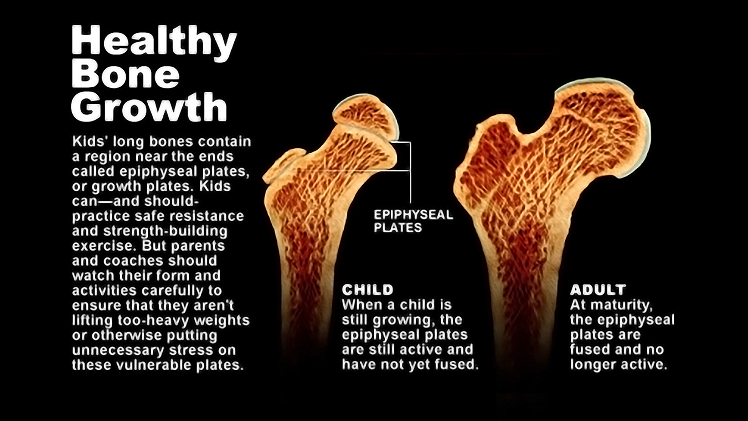 Benefits for Bone Strength and Growth
