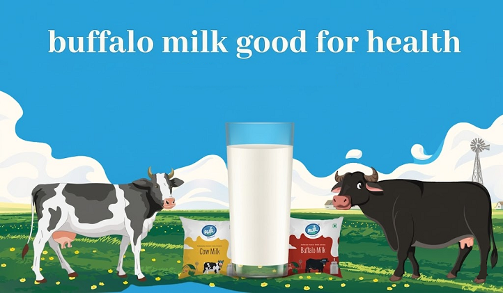 Wellhealthorganic.com : Buffalo Milk Good For Health A Complete Guide (2026) wellhealthorganic.com : buffalo milk good for health